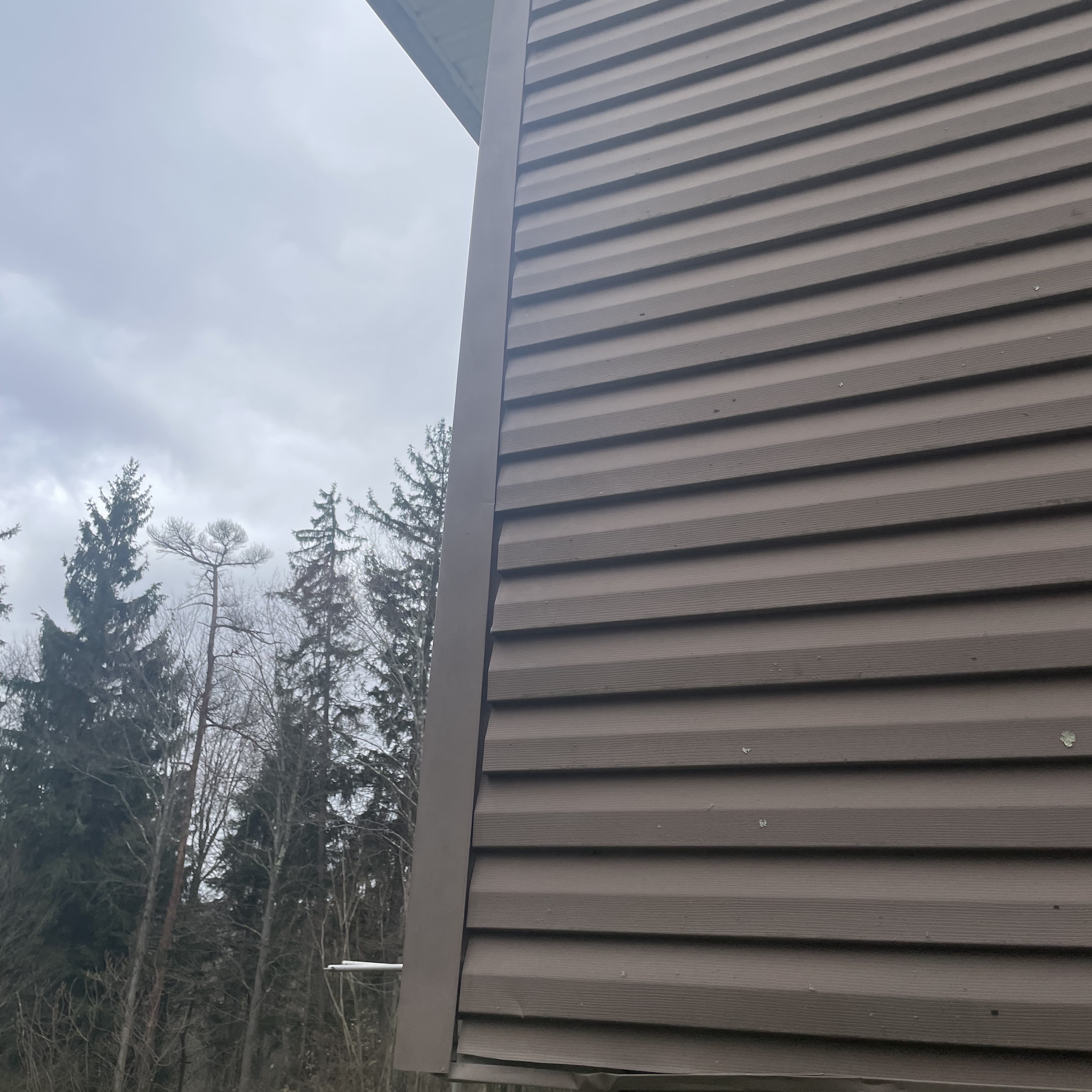 Siding Repair